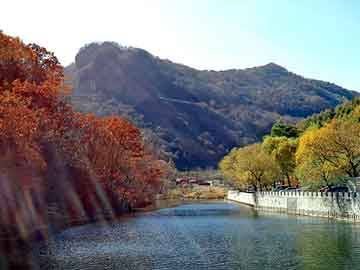 新澳天天开奖资料大全旅游团，奔驰论坛